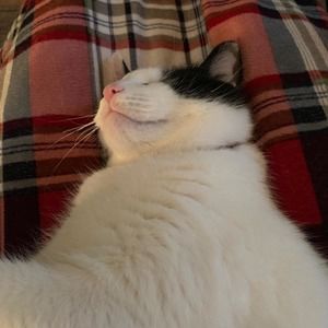 Meet your Posher, Terri